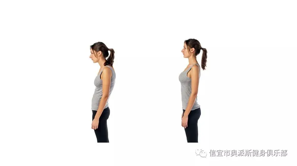 篮球训练法读后感怎么写_0